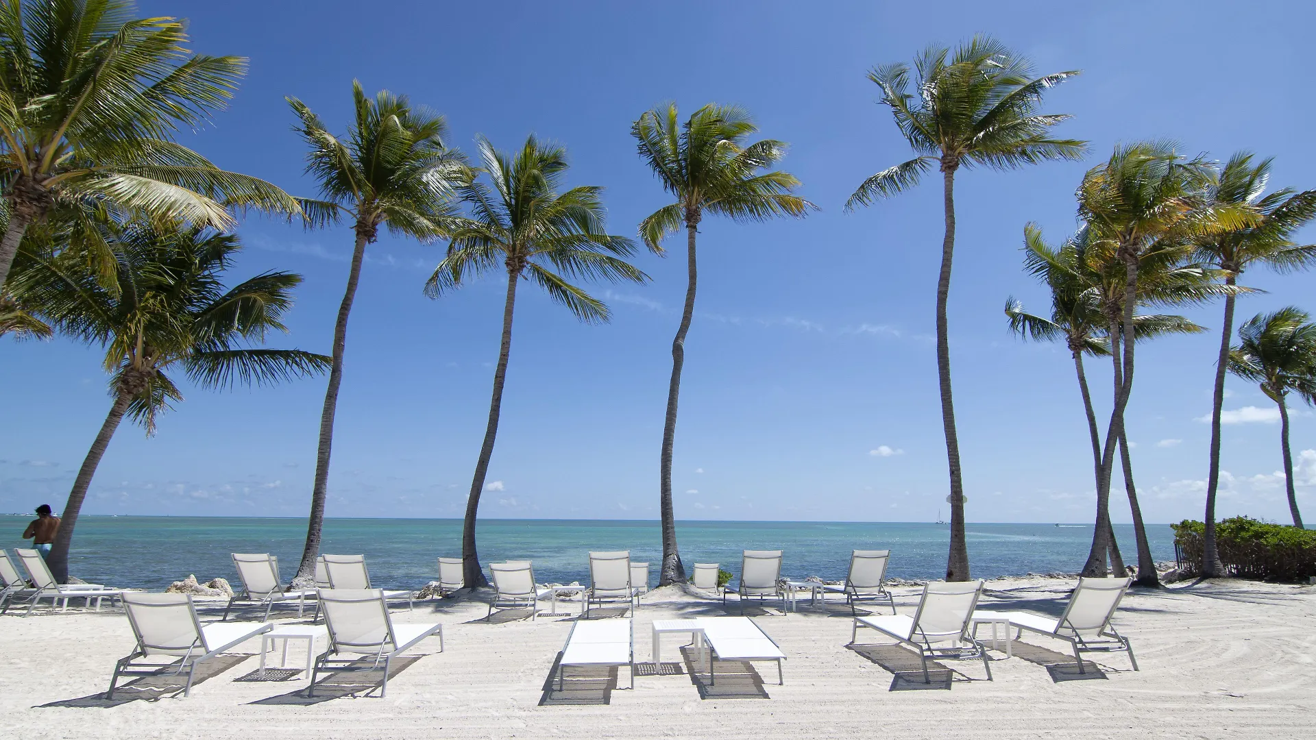 5 Beach Hotels Near History of Diving Museum That Stand Out