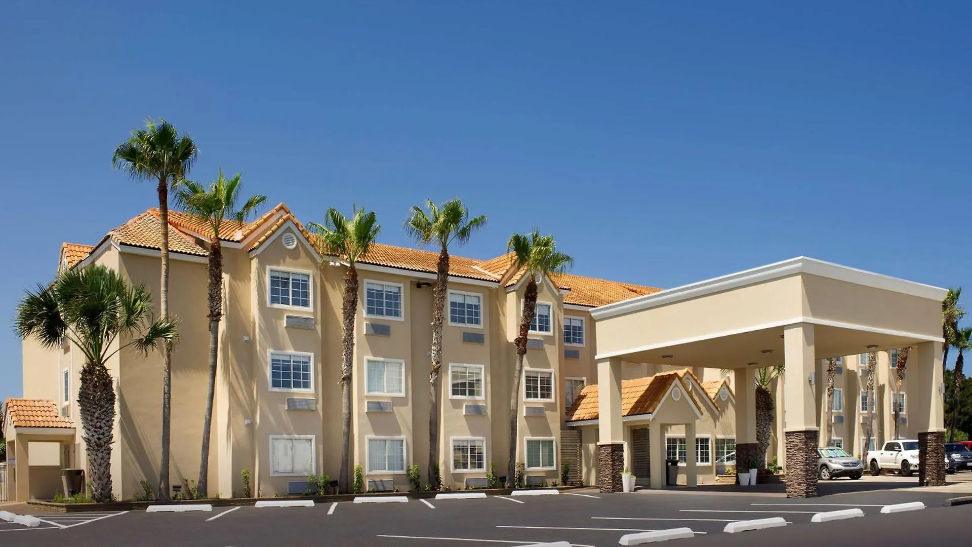 Staying Near Sea Turtle Inc: 4 Budget Hotels Compared