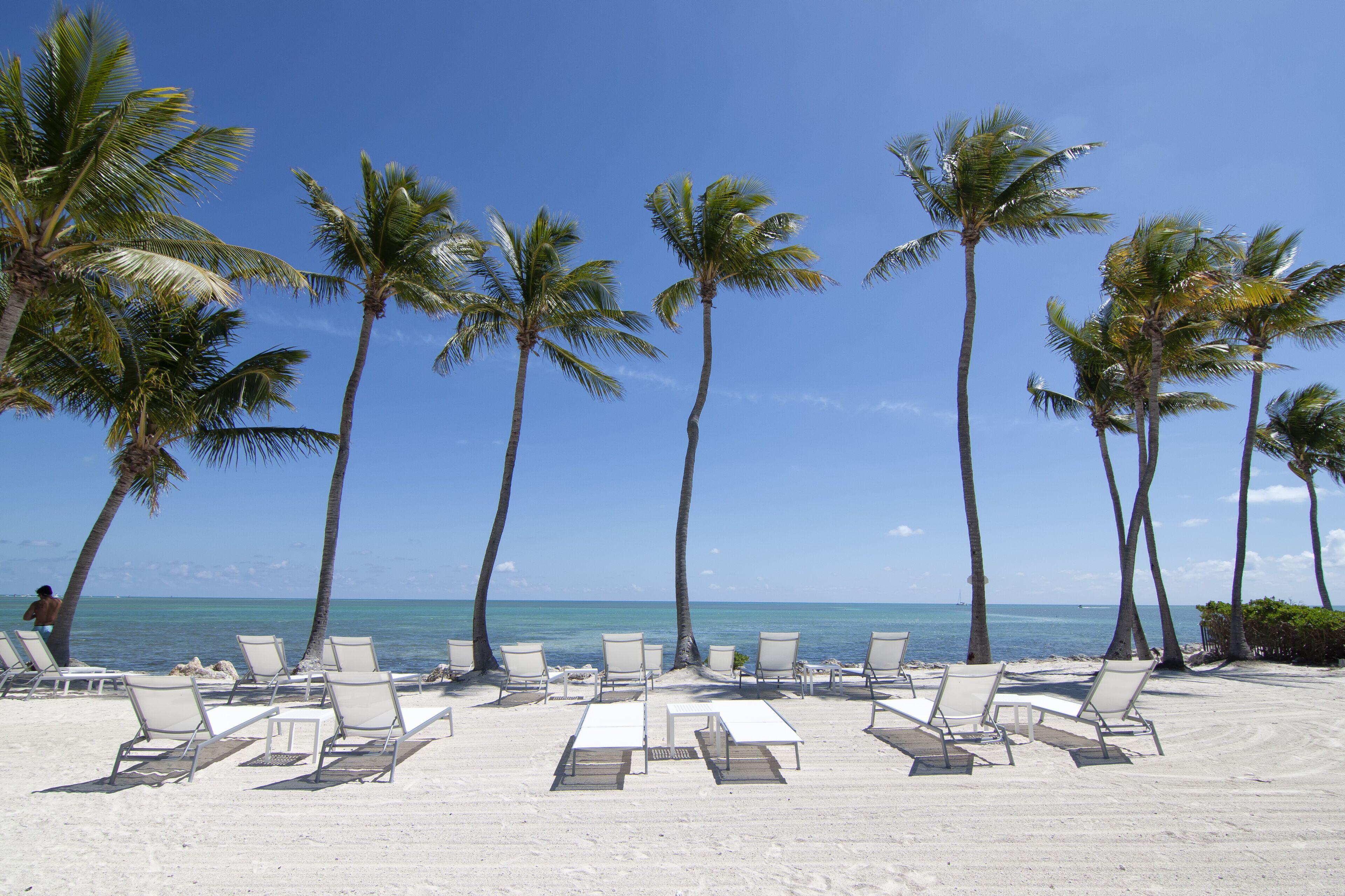 5 Beach Hotels Near History of Diving Museum That Stand Out